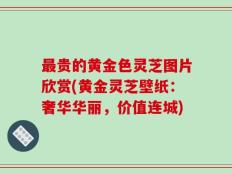 最贵的黄金色灵芝图片欣赏(黄金灵芝壁纸：奢华华丽，价值连城)