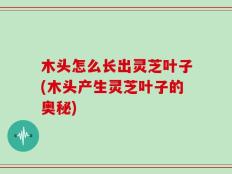 木头怎么长出灵芝叶子(木头产生灵芝叶子的奥秘)