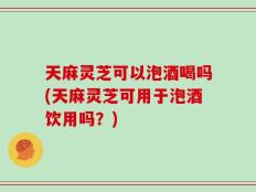 天麻灵芝可以泡酒喝吗(天麻灵芝可用于泡酒饮用吗？)