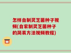 怎样自制灵芝菌种子视频(自家制灵芝菌种子的简易方法视频教程)