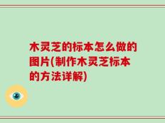 木灵芝的标本怎么做的图片(制作木灵芝标本的方法详解)