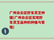 广州白云区野生灵芝种植(广州白云区实现野生灵芝品种的种植与繁殖)