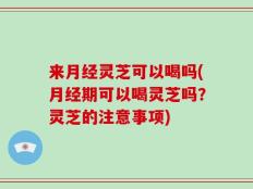 来月经灵芝可以喝吗(月经期可以喝灵芝吗？灵芝的注意事项)