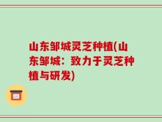 山东邹城灵芝种植(山东邹城：致力于灵芝种植与研发)