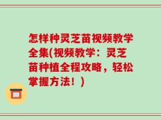 怎样种灵芝苗视频教学全集(视频教学：灵芝苗种植全程攻略，轻松掌握方法！)