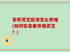家养灵芝应该怎么养殖(如何在家里养殖灵芝？)