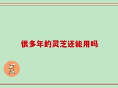 很多年的灵芝还能用吗