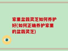 家里盆栽灵芝如何养护好(如何正确养护家里的盆栽灵芝)
