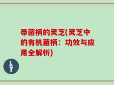 带菌柄的灵芝(灵芝中的有机菌柄：功效与应用全解析)