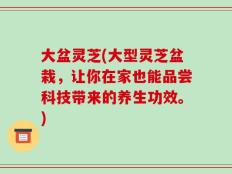 大盆灵芝(大型灵芝盆栽，让你在家也能品尝科技带来的养生功效。)