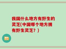 我国什么地方有野生的灵芝(中国哪个地方拥有野生灵芝？)