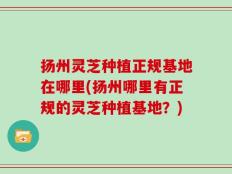 扬州灵芝种植正规基地在哪里(扬州哪里有正规的灵芝种植基地？)