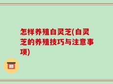 怎样养殖白灵芝(白灵芝的养殖技巧与注意事项)