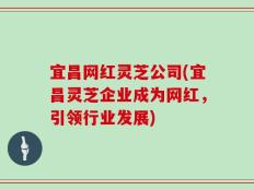 宜昌网红灵芝公司(宜昌灵芝企业成为网红，引领行业发展)