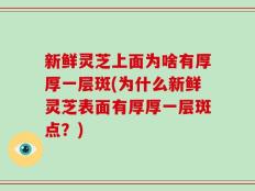 新鲜灵芝上面为啥有厚厚一层斑(为什么新鲜灵芝表面有厚厚一层斑点？)