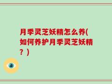月季灵芝妖精怎么养(如何养护月季灵芝妖精？)