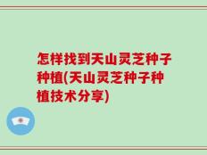 怎样找到天山灵芝种子种植(天山灵芝种子种植技术分享)