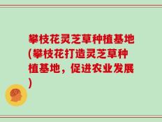 攀枝花灵芝草种植基地(攀枝花打造灵芝草种植基地，促进农业发展)