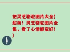 把灵芝骆驼图片大全(超萌！灵芝骆驼图片全集，看了心情都变好！)