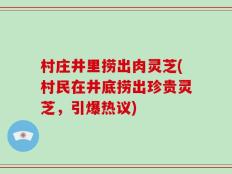 村庄井里捞出肉灵芝(村民在井底捞出珍贵灵芝，引爆热议)