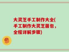 大灵芝手工制作大全(手工制作大灵芝菌包，全程详解步骤)
