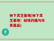 林下灵芝基地(林下灵芝基地：秘境药膳与珍贵菌品)