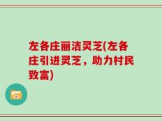 左各庄丽洁灵芝(左各庄引进灵芝，助力村民致富)