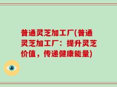 普通灵芝加工厂(普通灵芝加工厂：提升灵芝价值，传递健康能量)