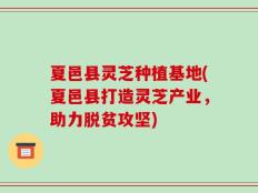 夏邑县灵芝种植基地(夏邑县打造灵芝产业，助力脱贫攻坚)