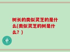 树长的类似灵芝的是什么(类似灵芝的树是什么？)