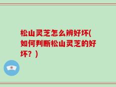 松山灵芝怎么辨好坏(如何判断松山灵芝的好坏？)