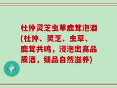 杜仲灵芝虫草鹿茸泡酒(杜仲、灵芝、虫草、鹿茸共鸣，浸泡出高品质酒，细品自然滋养)
