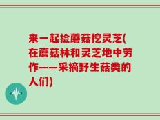 来一起捡蘑菇挖灵芝(在蘑菇林和灵芝地中劳作——采摘野生菇类的人们)