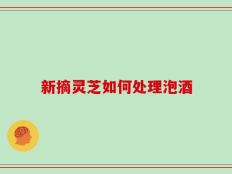 新摘灵芝如何处理泡酒