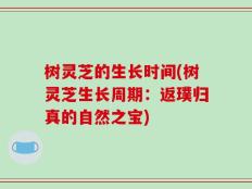 树灵芝的生长时间(树灵芝生长周期：返璞归真的自然之宝)