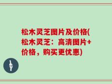 松木灵芝图片及价格(松木灵芝：高清图片+价格，购买更优惠)