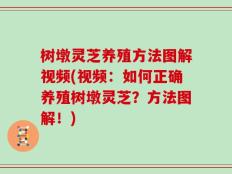 树墩灵芝养殖方法图解视频(视频：如何正确养殖树墩灵芝？方法图解！)