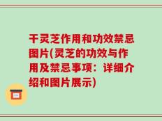 干灵芝作用和功效禁忌图片(灵芝的功效与作用及禁忌事项：详细介绍和图片展示)