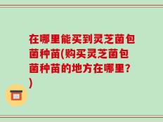 在哪里能买到灵芝菌包菌种苗(购买灵芝菌包菌种苗的地方在哪里？)