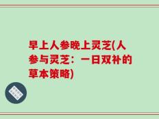 早上人参晚上灵芝(人参与灵芝：一日双补的草本策略)