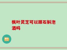 枫叶灵芝可以跟石斛泡酒吗