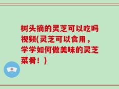 树头摘的灵芝可以吃吗视频(灵芝可以食用，学学如何做美味的灵芝菜肴！)