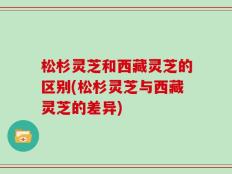 松杉灵芝和西藏灵芝的区别(松杉灵芝与西藏灵芝的差异)