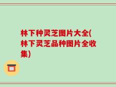林下种灵芝图片大全(林下灵芝品种图片全收集)