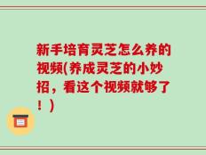 新手培育灵芝怎么养的视频(养成灵芝的小妙招，看这个视频就够了！)