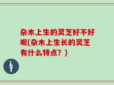 杂木上生的灵芝好不好呢(杂木上生长的灵芝有什么特点？)