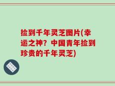 捡到千年灵芝图片(幸运之神？中国青年捡到珍贵的千年灵芝)