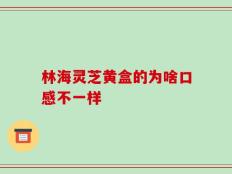 林海灵芝黄盒的为啥口感不一样