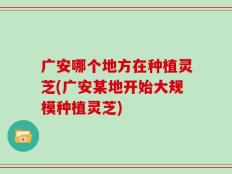 广安哪个地方在种植灵芝(广安某地开始大规模种植灵芝)