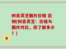 树舌灵芝图片价格 区别(树舌灵芝：价格与图片对比，你了解多少？)